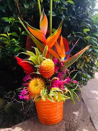 Maybe you would like to learn more about one of these? Aloha Protea And Tropical Arrangement Hawaiianmagic Net Tropical Flowers