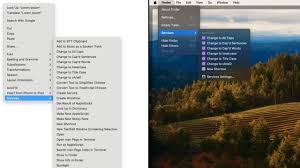 How to use Services menu in macOS