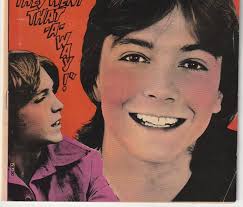 David Cassidy #5 (1972) Star of The Partridge Family
