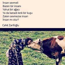 Cahit Zarifoglu Guzel Soz Ozlu Sozler Ilahm Veren Alintilar