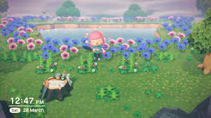 Wilbur Took Me To This Rare Flower Island Animalcrossing