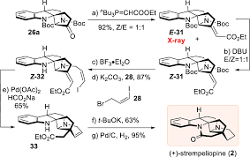 Image result for Schizozygia