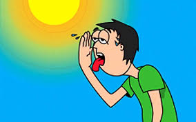 Resultado de imagen para Golpe de calor