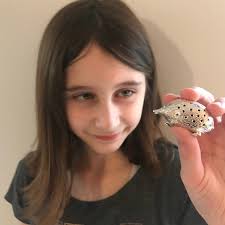 Hedgehog Pin Cushion Sterling Silver Victorian in Style Beautiful Enduring  Gift