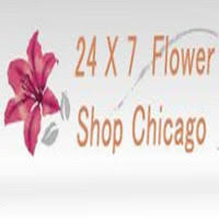 If you're looking for flower delivery in chicago, the bouqs co. Send Flowers Chicago Il Owner 24x7 Send Flowers Chicago Il Linkedin