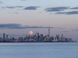 Toronto meeting management information system (tmmis). Toronto Has Just Been Ranked One Of The World S Best Cities 2021 Toronto Times