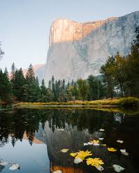 Check spelling or type a new query. 18 Amazing Things To Do In Yosemite For First Time Visitors