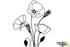 See more ideas about drawings, flower drawing, flower art. How To Draw A Poppy We Will Be Doing A Simple Flower Image Today And To Be More Specific We Will Provide You Poppy Drawing Flower Drawing Poppy Flower Drawing