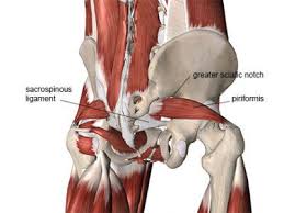 Pin On Decompression