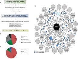 World malaria day april 25. The Kidney Transcriptome And Proteome Defined By Transcriptomics And Antibody Based Profiling