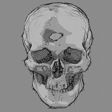 Are there any free 3d models for blender? New Version Of The Npr Shader Replica Blender Models Model Drawing Art Reference