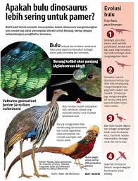 Meski semua jenis jenis dinosa. Teka Teki Bulu Berwarna Dinosaurus Ilmu Dan Teknologi Koran Tempo Co