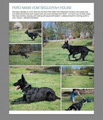 Moira/Joschi 8-18-10