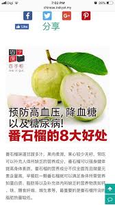 Add a customizable search box to your web pages and show fast, relevant results powered by google. æžœä¹‹å±‹ Https Www Google Com Sg Search Q ç•ªçŸ³æ¦´å¥½å¤„ Client Safar Facebook