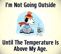 Funny winter quotes talk about making wintertime a happy time with jokes and quotes. I M Not Going Outside Quotes Quote Winter Cold Snoopy Funny Quotes Humor Winter Quotes Funny Quotes Snoopy Funny Snoopy Quotes