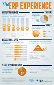 Sap Programs And Systems Infographics Set 1 Infographic Erp System Change Management