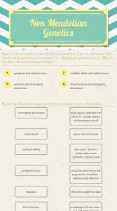 Wizer Me Blends Worksheets Science Worksheets Worksheets