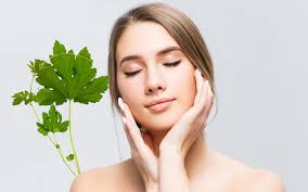 10 Secrets About Cerasee Tea That Has Never Been Revealed for The Past 50  Years.