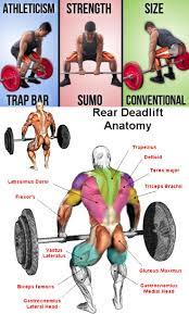 Sumo Squat Variations Sumo Squats Leg Workout Gym Workouts