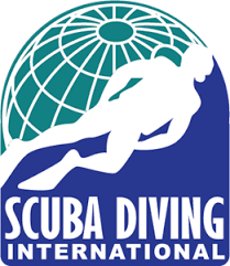 You can download in.ai,.eps,.cdr,.svg,.png formats. Diving Logo Vectors Free Download