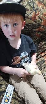 BYC (BackYardChickens)