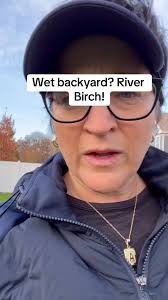 River Birch are a beautiful fast growing tree that are native to northern  Illinois and get 20 to 30 feet wide and 40 to 60 feet tall! They prefer  moist areas that are well drained but can handle ...