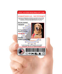 Pin On Serviceanimalbadge