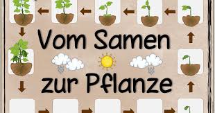 Pin Auf Klasse
