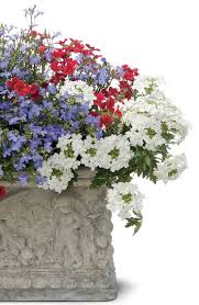 We can recreate each of these stunning mixed flower pot designs. Our Patriot S Party Container Gardening Recipe Offers Fireworks Sized Bursts Of Red White And Blu Flower Garden Plans White And Blue Flowers Container Flowers