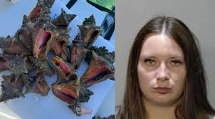 KEY WEST, Fla. (WSVN)