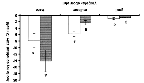 Image result for Calepitrimerus vitis