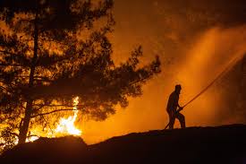 Authorities say firefighters have contained several fires yet high winds make the path of those still the minister also posted a video on twitter of firefighters attempting to contain a fire near the. Turkey S South Fights Forest Fires Amid Soaring Temperatures Daily Sabah