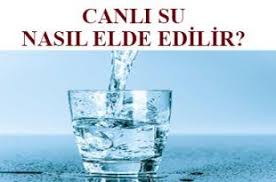 Canli Su Nasil Elde Edilir Canli Su Nereden Bulunur Glassware Beer Glasses Shot Glass