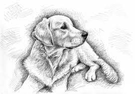 Tiere zeichnen mit grafit bleistift zeichnungen. Tiere Zeichnen Mit Grafit Bleistift Zeichnungen Tiere Zeichnen Zeichnungen Tiere Hund Zeichnen