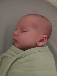 That1girl@420dogmom (@voiceforyou83)