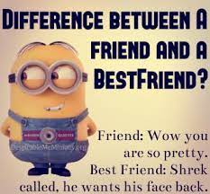 Joke for Friday, 27 November 2015 from site Minion Quotes - Difference  between a Friend and a Best Friend?