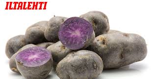 Fresca, rica, ideal para los días de calor. Sininen Peruna Synkea Sakari Terveellisempi Kuin Tavallinen Keltainen Peruna