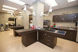 Spotlights Hospital Design Hospital Design Clinic Interior Design Veterinary Clinic