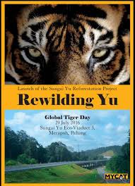 Rewilding Yu Mycat