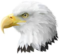 Feet Clipart Eagle Feet Eagle Transparent Free For Download On Webstockreview 2021 The following page uses this file: feet clipart eagle feet eagle