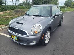 Image result for Pure Silver 2010 Mini
