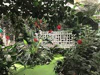 Im raupenhaus filmt herbert hübner zudem raupen und versteckte puppen. Garten Der Schmetterlinge Bendorf Aktuelle 2021 Lohnt Es Sich Mit Fotos Tripadvisor