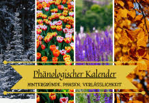 Phanologischer Kalender Hintergrunde Phasen Verlasslichkeit In 2020 Hochbeet Selber Bauen Hochbeet Hochbeet Aus Paletten