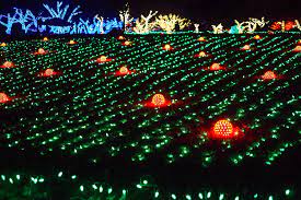 Maybe you would like to learn more about one of these? File Christmas Lights Pumpkin Farm Jpg Wikipedia