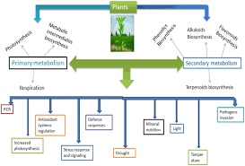 Maybe you would like to learn more about one of these? Stress And Defense Responses In Plant Secondary Metabolites Production