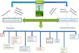 stress and defense responses in plant