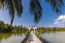 Heiraten Und Hochzeitsplaner Malediven Pretty Weddings Hochzeit Malediven Flitterwochen Honeymoon Travel Malediven Flitterwochen Malediven Flitterwochen