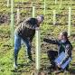 Woodland creation – delivering your EWCO project event in Truro