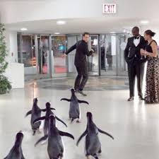 Poppers pingviner, i pinguini di mister popper, m. Mr Popper S Penguins 2011 Rotten Tomatoes
