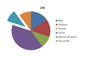 above all else life as a pie chart